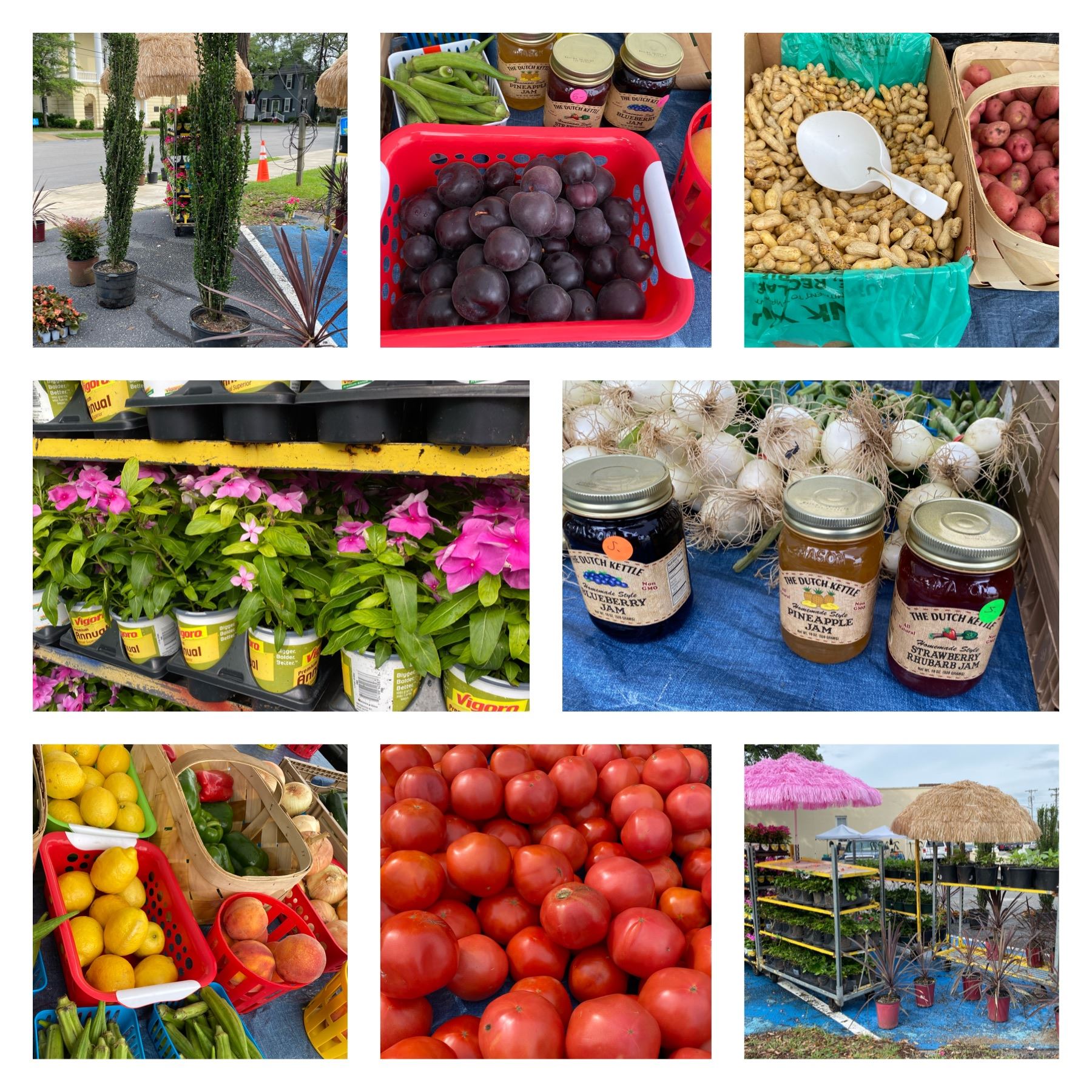 A collage of local fruits and vegetables, and products such as honey.