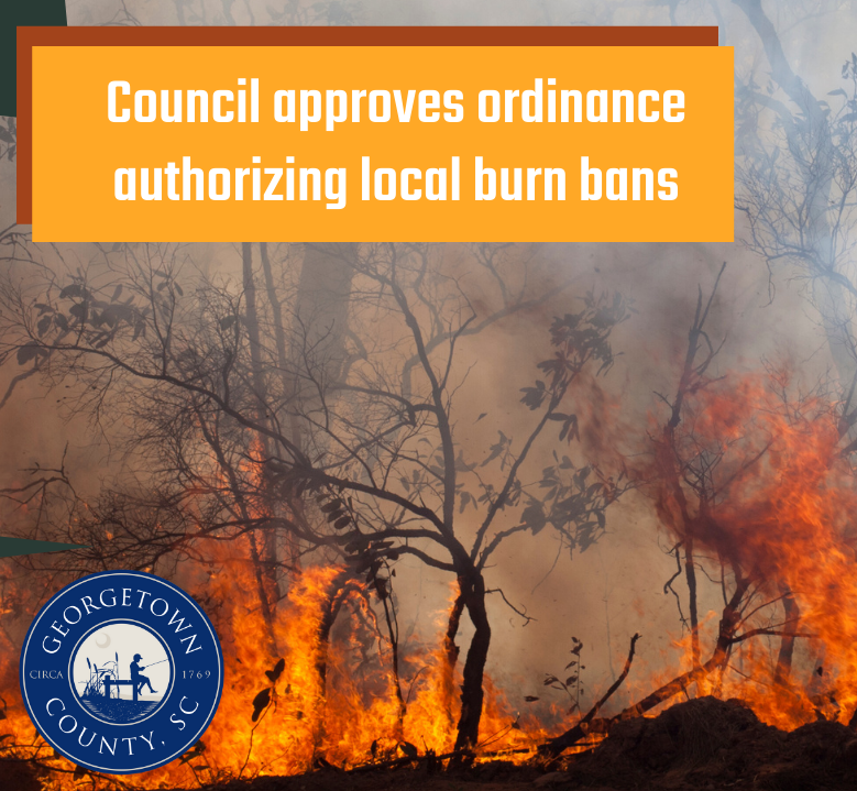 Fire and smoke in a wooded area with charred trees