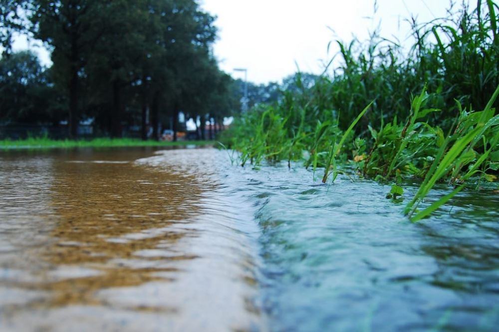 flooding on a roadside.