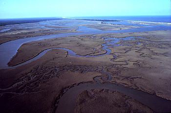Aerial view of Winyah Bay
