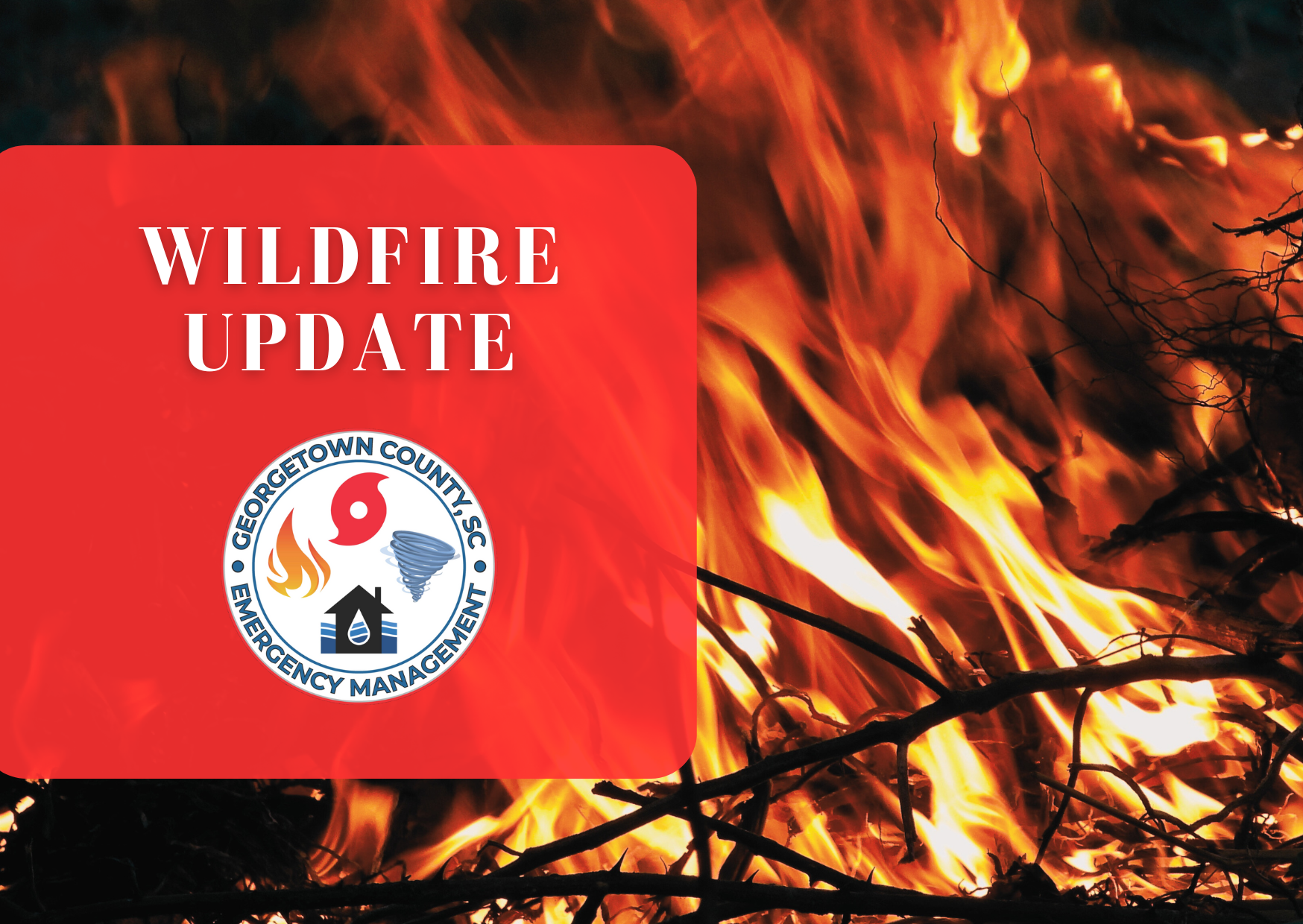 Image of a wildfire with text overlaid that reads 